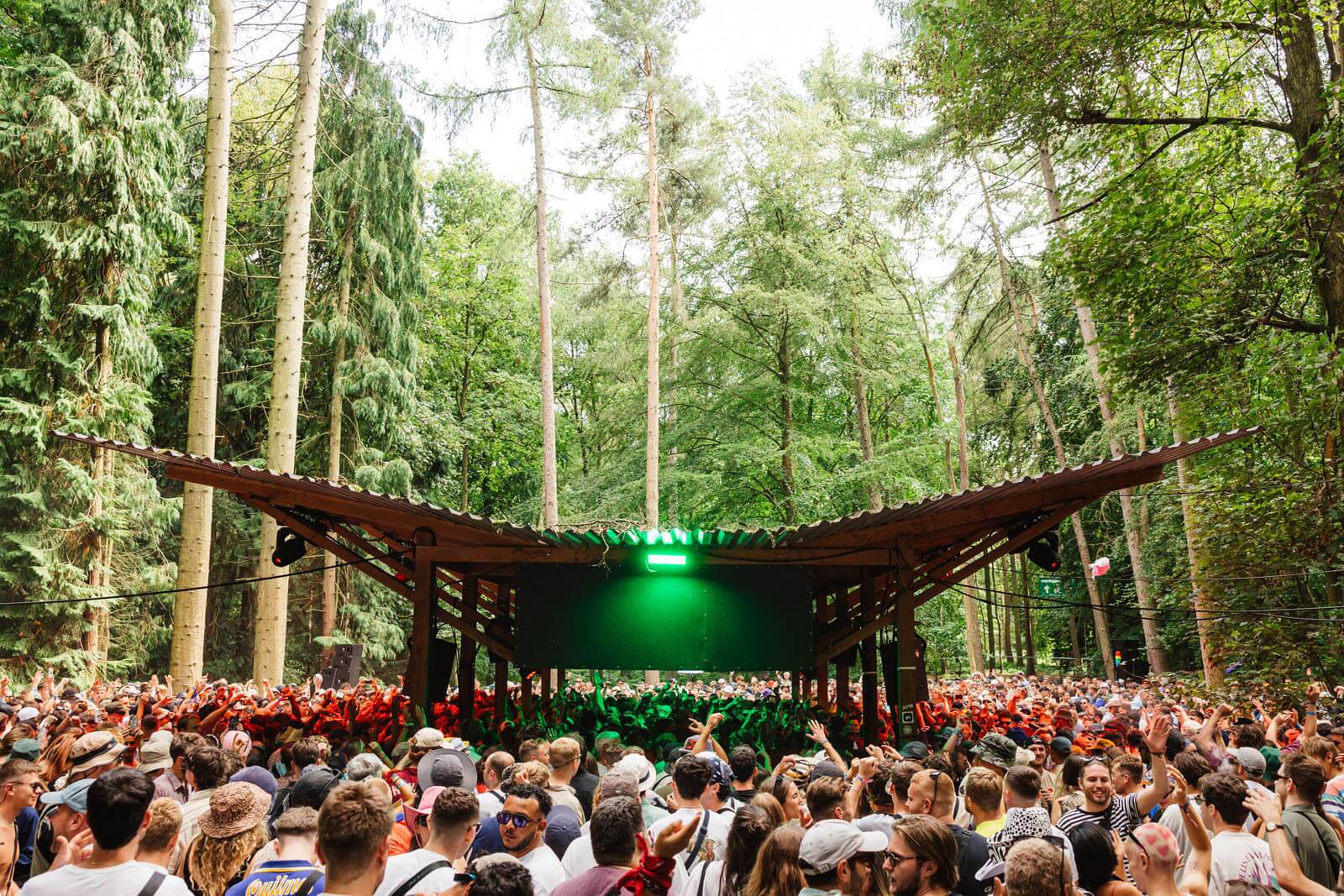 Festival image