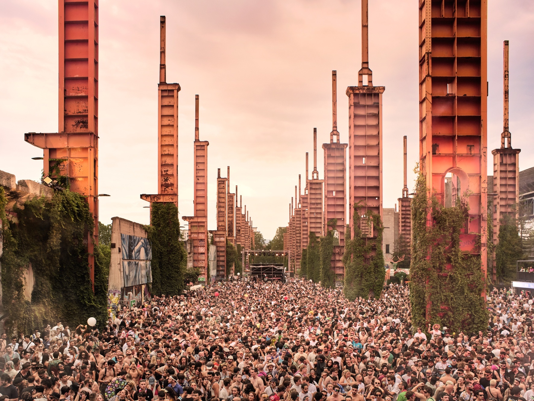 Festival image