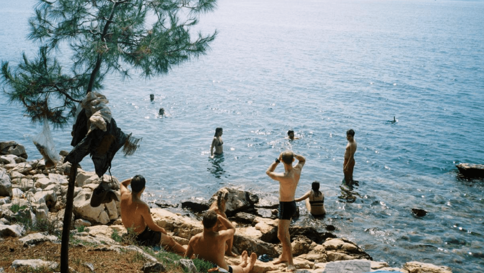 Festival image