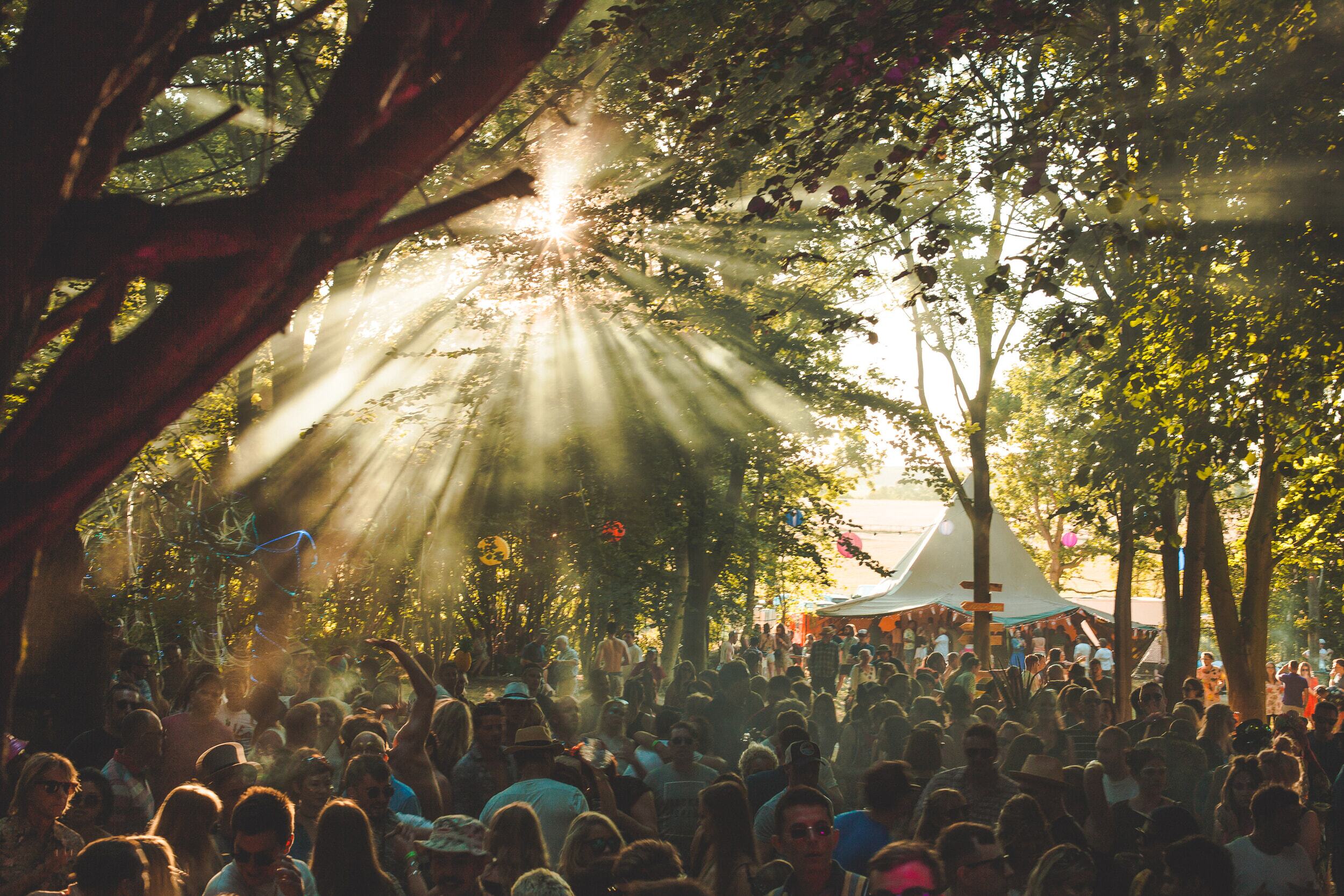 Festival image